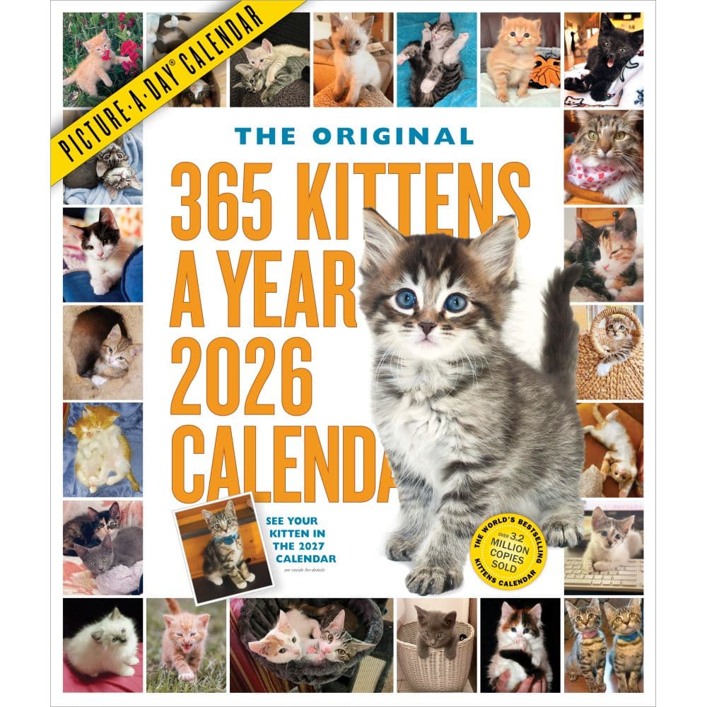 Kittens 365 Days 2026 Wall Calendar Main Image