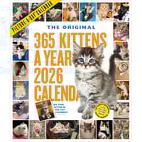 image Kittens 365 Days 2026 Wall Calendar Main Image