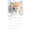 image Kittens and Puppies Special Value 2026 Wall Calendar Third Alternate Image