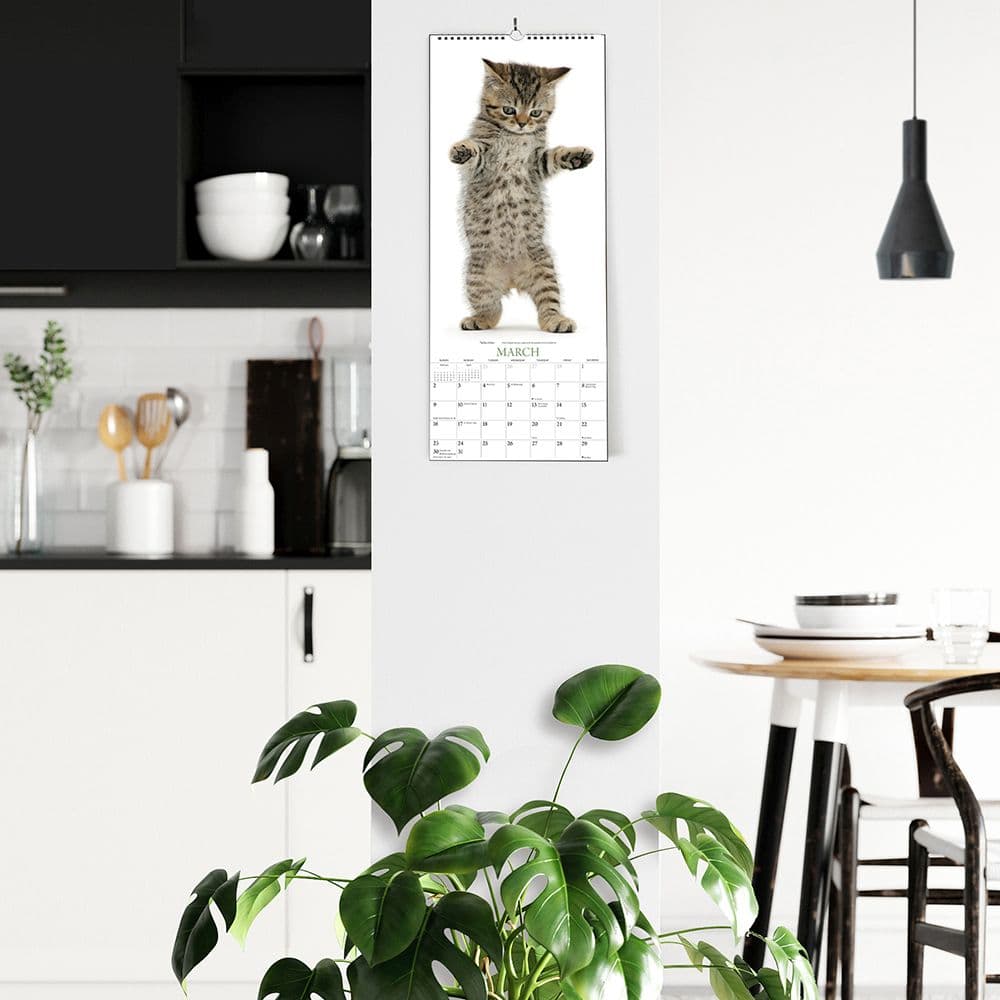 Cats Vertical 2025 Wall Calendar Fourth Alternate Image width="1000" height="1000"
