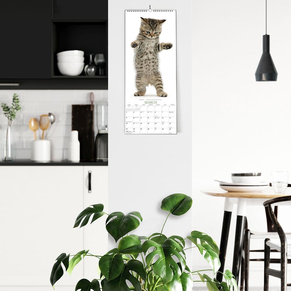 Cats Vertical 2025 Wall Calendar