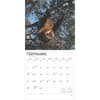 image Sloths 2025 Wall Calendar Third Alternate Image width=&quot;1000&quot; height=&quot;1000&quot;