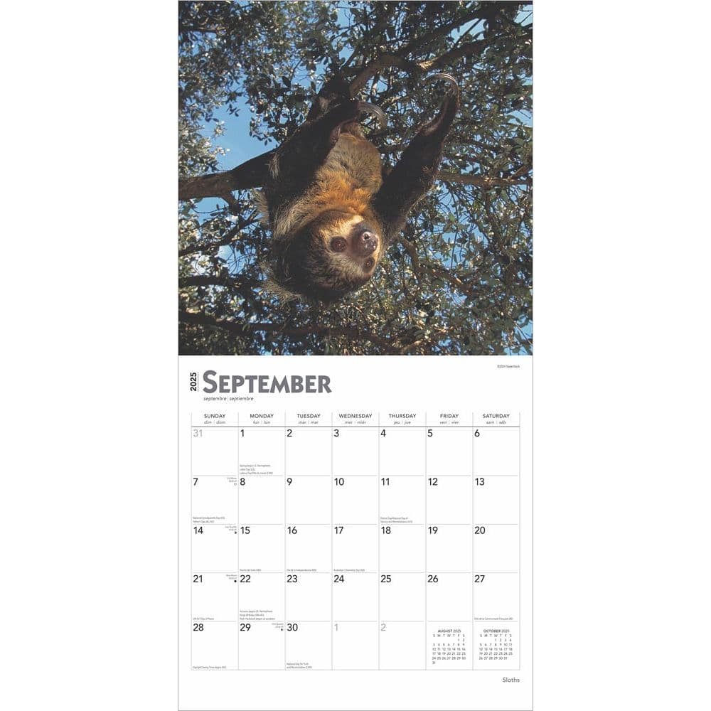 Sloths 2025 Wall Calendar
