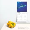 image Sharks 2025 Wall Calendar Fourth Alternate Image