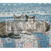 image Love Of Cats 2024 Desktop Wallpaper
