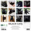 image Black Cats 2026 Wall Calendar First Alternate Image