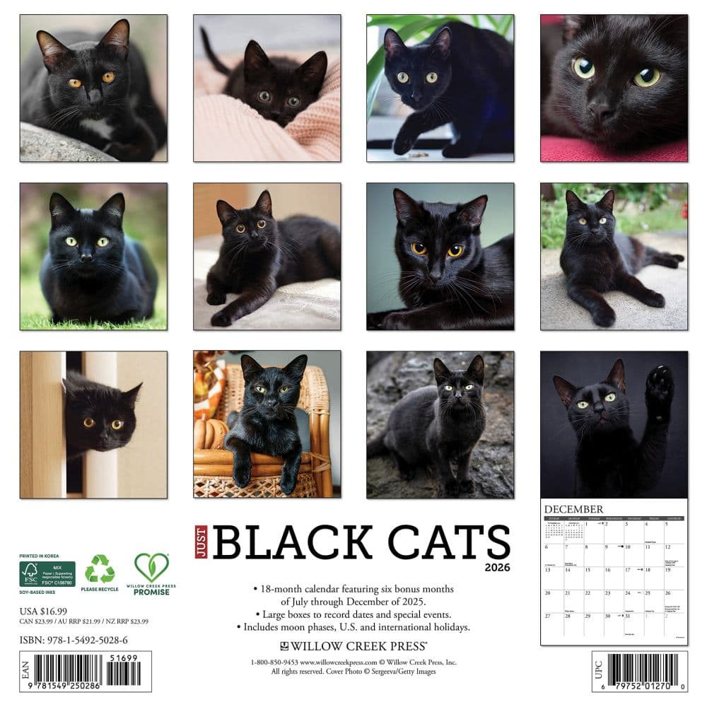 Black Cats 2026 Wall Calendar First Alternate Image