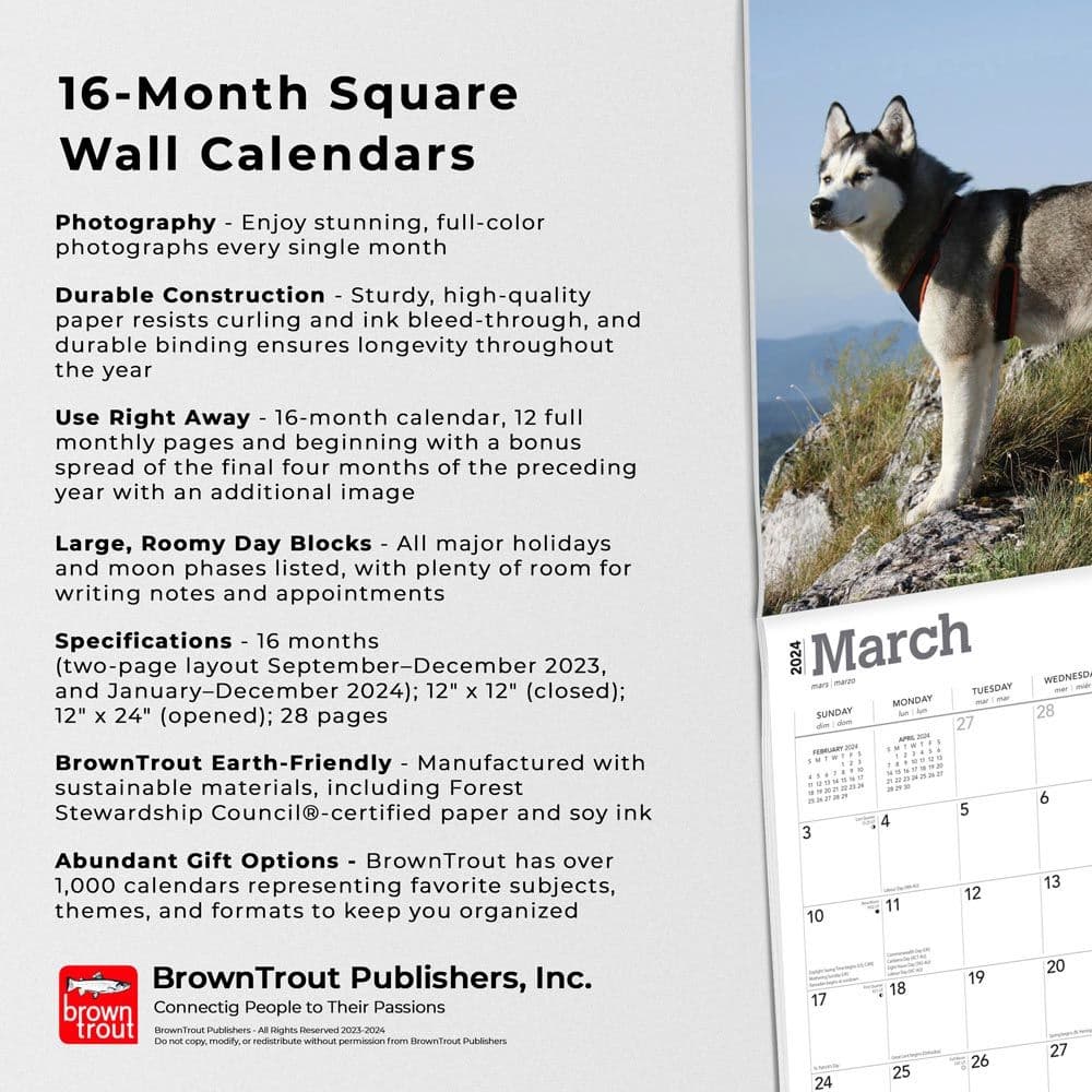 Siberian Huskies 2024 Wall Calendar