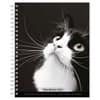 image Regal Cat Portrait 2024 Wall Calendar Main Product Image width=&quot;1000&quot; height=&quot;1000&quot;