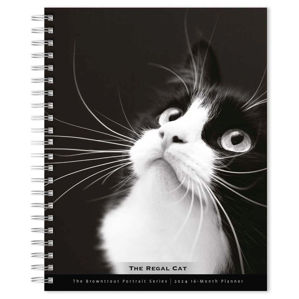 Regal Cat Portrait 2024 Wall Calendar Main Product Image width=&quot;1000&quot; height=&quot;1000&quot;
