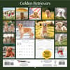 image Golden Retrievers Photo 2026 Wall Calendar_ALT1