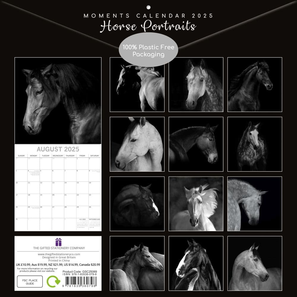 Horse Portraits 2025 Wall Calendar