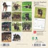 image German Shepherd Puppies 2025 Mini Wall Calendar First Alternate Image width=&quot;1000&quot; height=&quot;1000&quot;