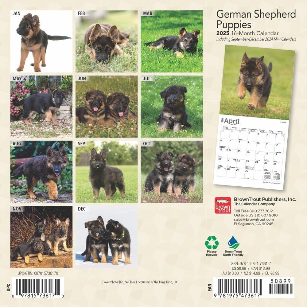 German Shepherd Puppies 2025 Mini Wall Calendar First Alternate Image width=&quot;1000&quot; height=&quot;1000&quot;