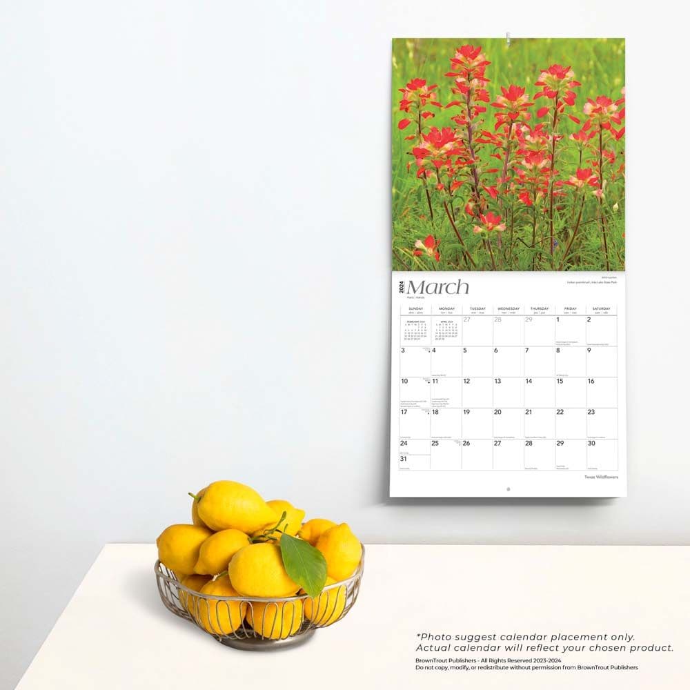 Texas Wildflowers 2024 Wall Calendar