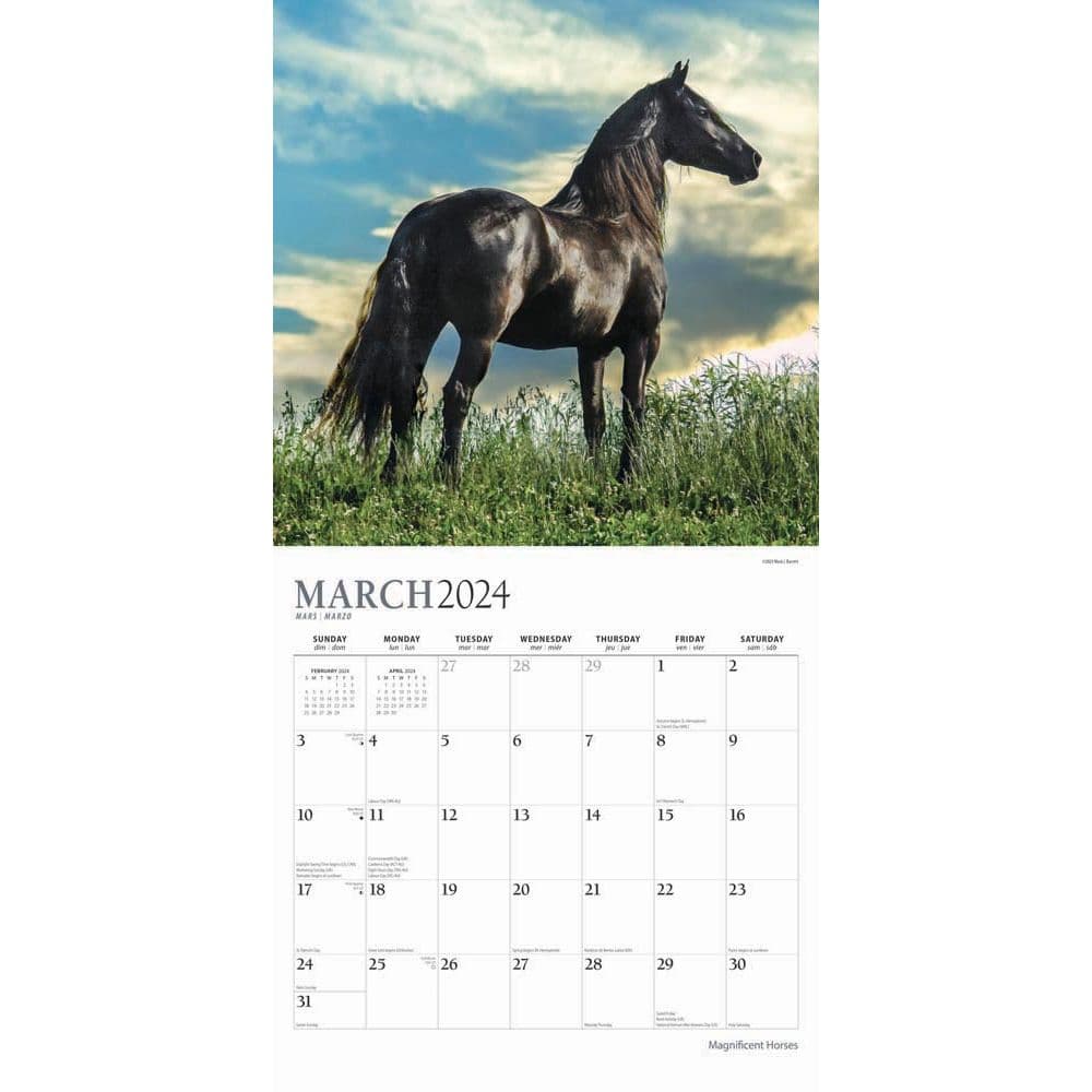 Magnificent Horses 2024 Wall Calendar