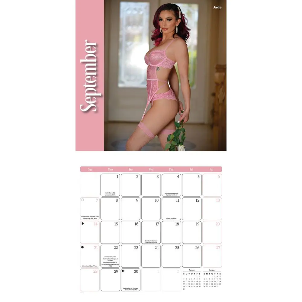 Lingerie 2025 Wall Calendar