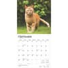 image Ginger Cats 2025 Wall Calendar Third Alternate Image