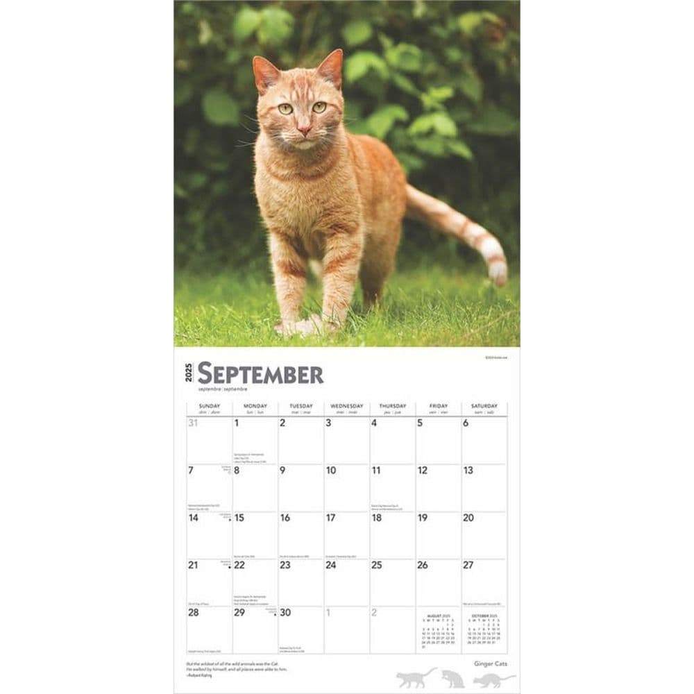 Ginger Cats 2025 Wall Calendar Third Alternate Image