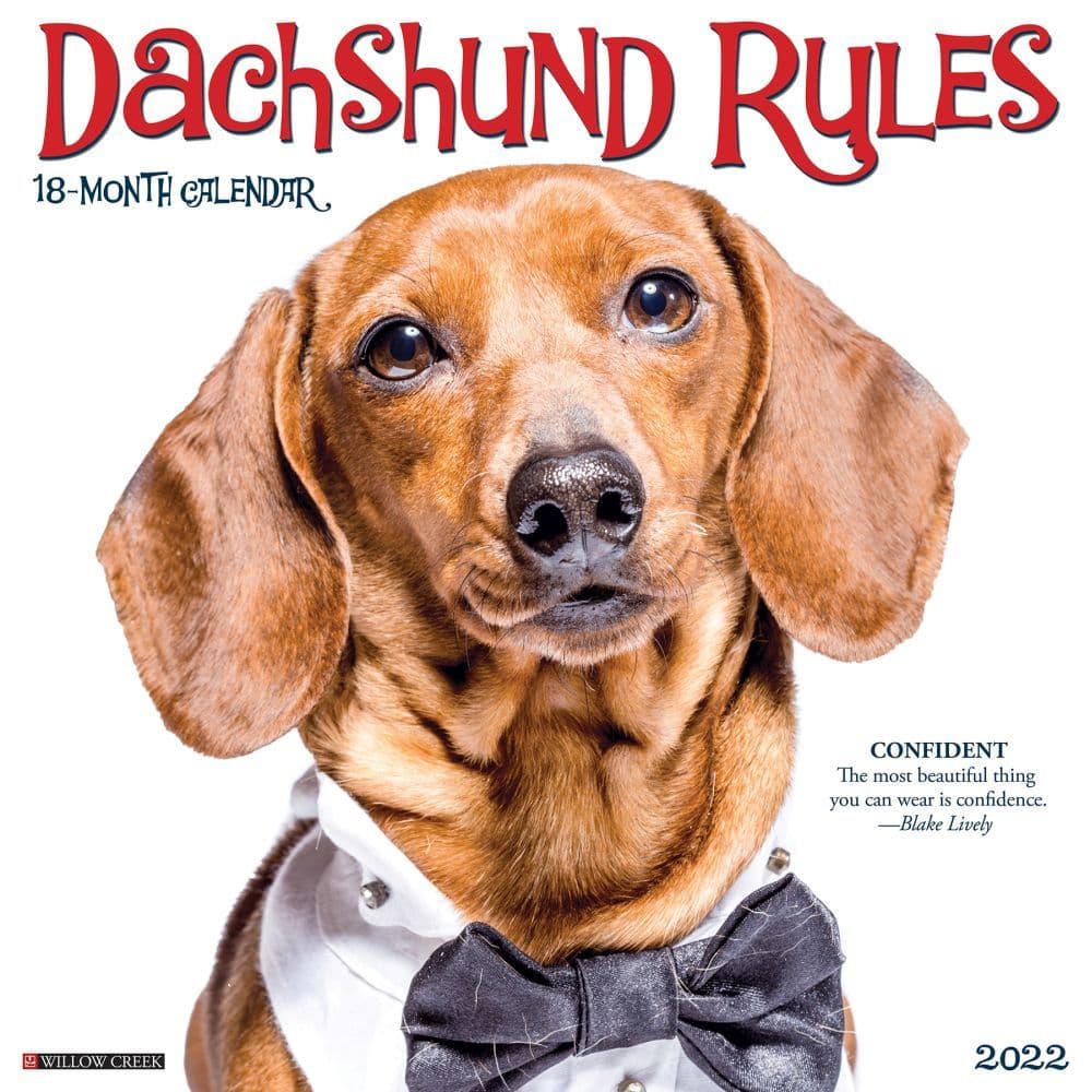 Dachshund Rules 2022 Wall Calendar