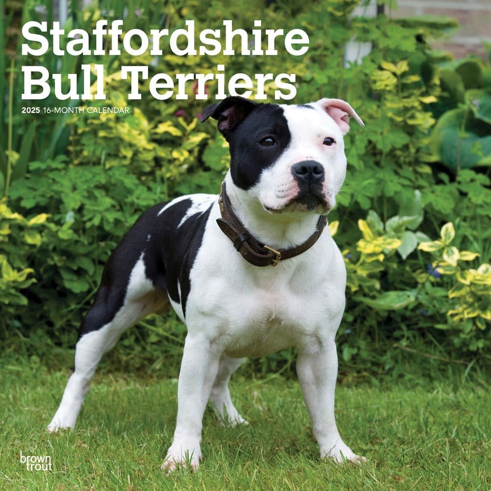 Staffordshire Bull Terriers 2025 Wall Calendar