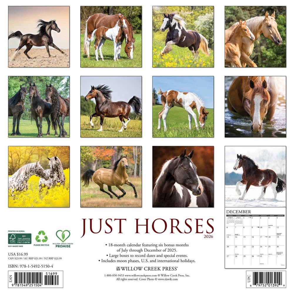 Just Horses 2026 Wall Calendar First Alternate Image
