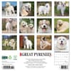 image Great Pyrenees 2025 Wall Calendar First Alternate Image width=&quot;1000&quot; height=&quot;1000&quot;