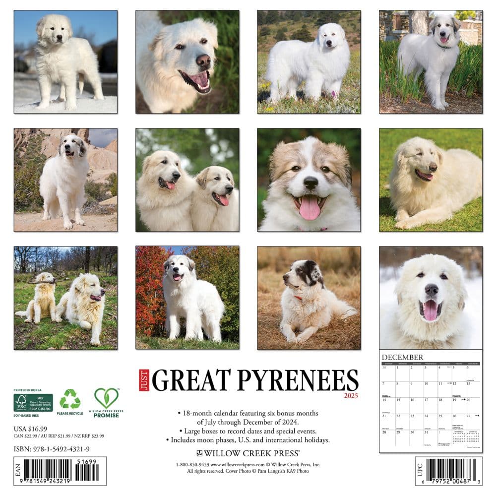 Great Pyrenees 2025 Wall Calendar First Alternate Image width="1000" height="1000"