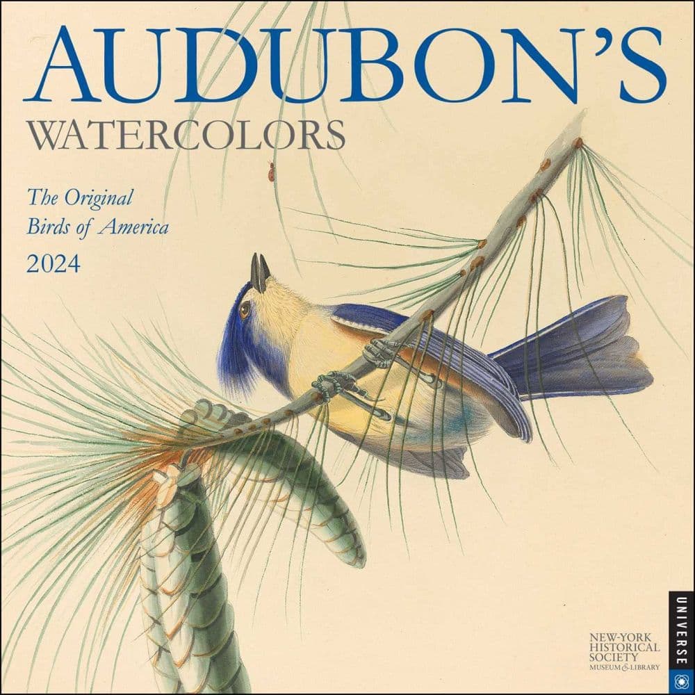 Audubons Watercolors 2025 Wall Calendar