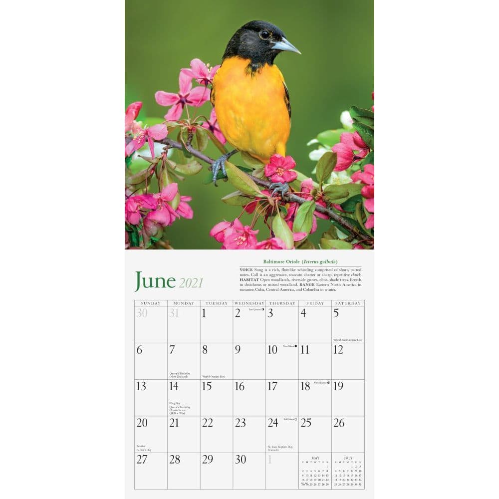 Audubon Sweet Songbirds Mini Wall Calendar
