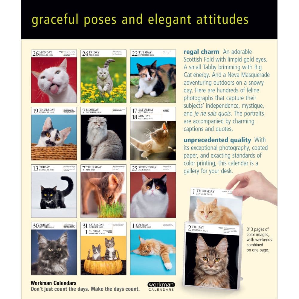 Cat Gallery 2026 Desk Calendar First Alternate Image