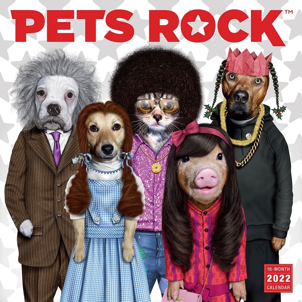 Pets Rock 2022 Wall Calendar