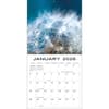 image Larger Than Life Photo 2026 Wall Calendar