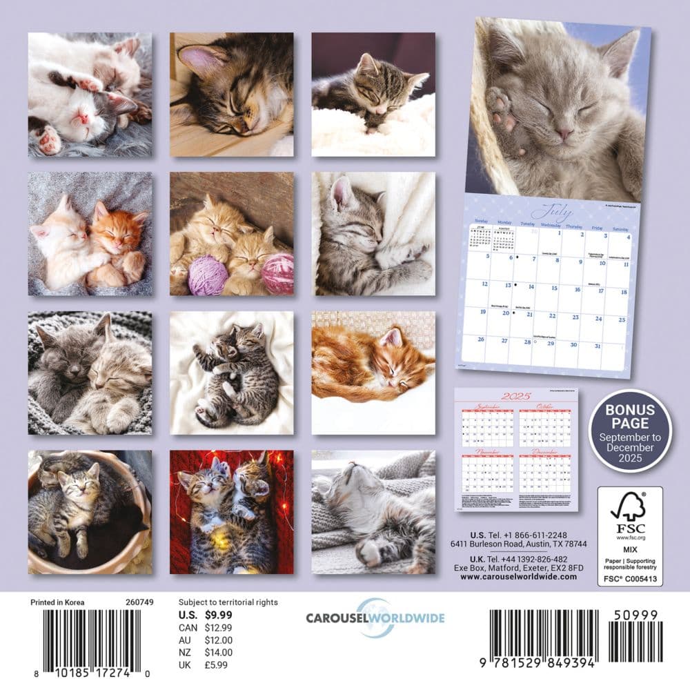 Naptime 2026 Mini Wall Calendar First Alternate Image