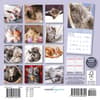 image Naptime 2026 Mini Wall Calendar First Alternate Image