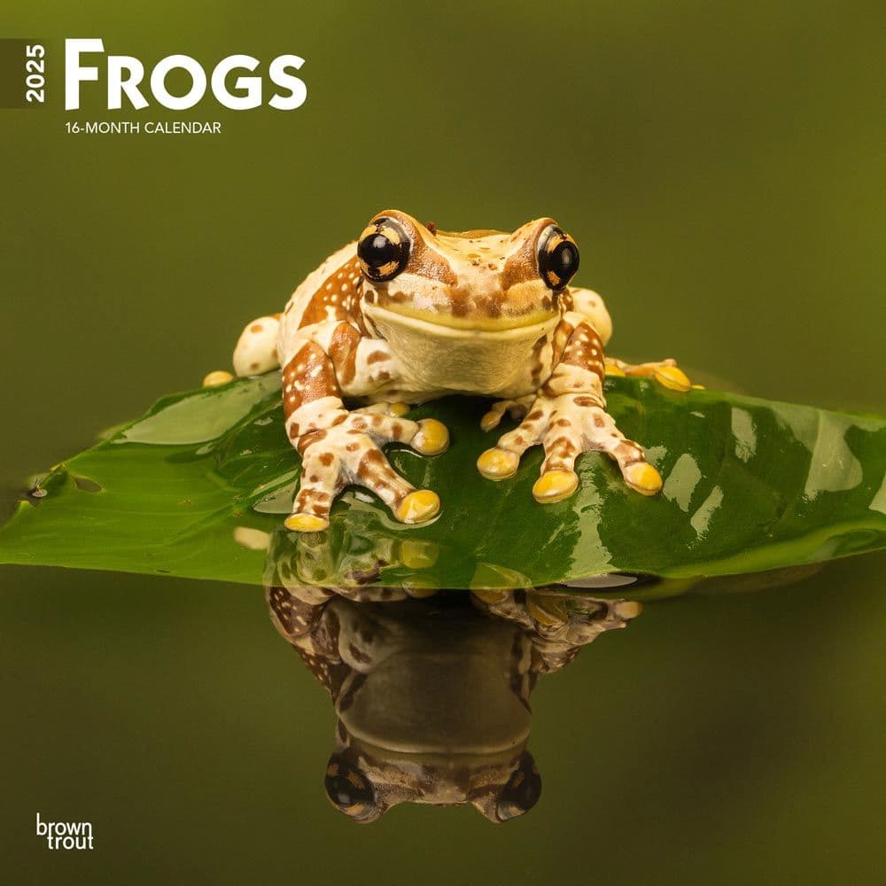 Frogs 2025 Wall Calendar Main Product Image width=&quot;1000&quot; height=&quot;1000&quot;