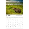 image Capybara WWF 2025 Wall Calendar Second Alternate Image width=&quot;1000&quot; height=&quot;1000&quot;