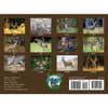 image Whitetail Deer 2026 Wall Calendar First Alternate Image
