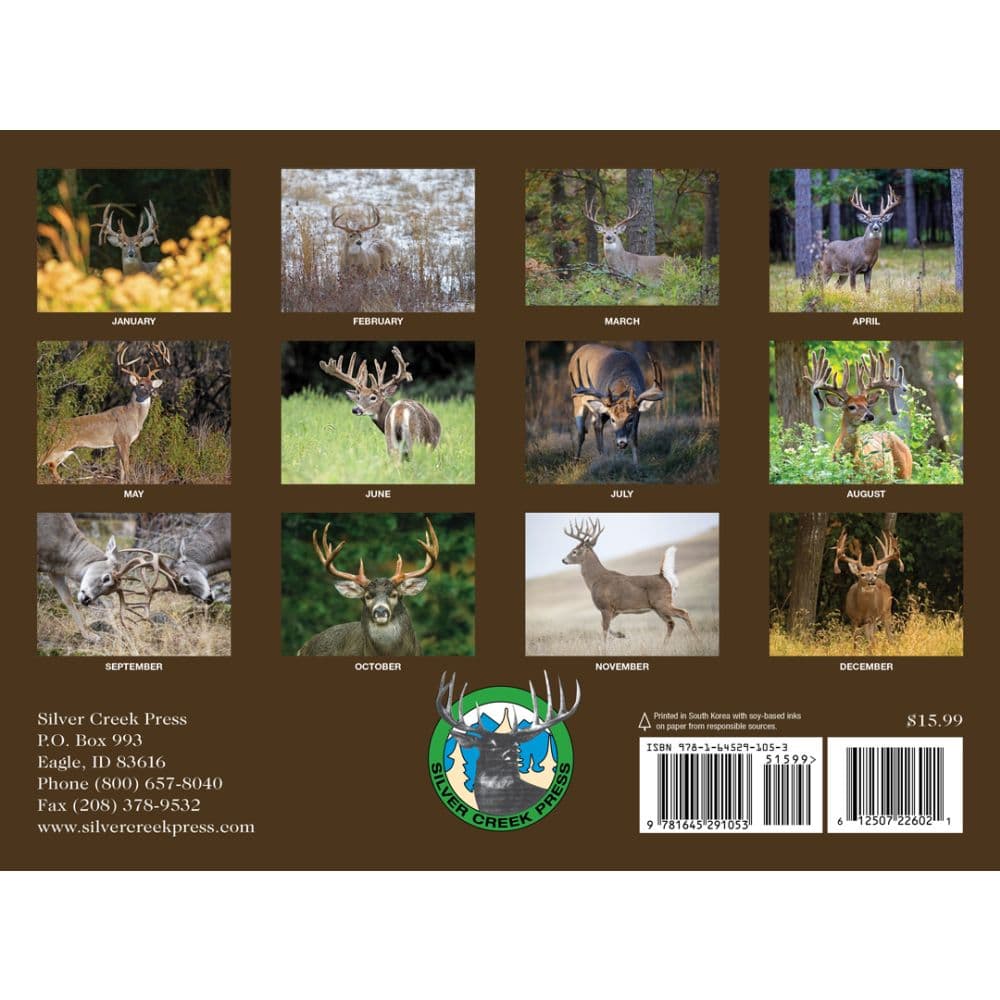 Whitetail Deer 2026 Wall Calendar First Alternate Image