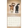 image Yoga Cats Together by Plato 2025 Wall Calendar Second Alternate Image width=&quot;1000&quot; height=&quot;1000&quot;