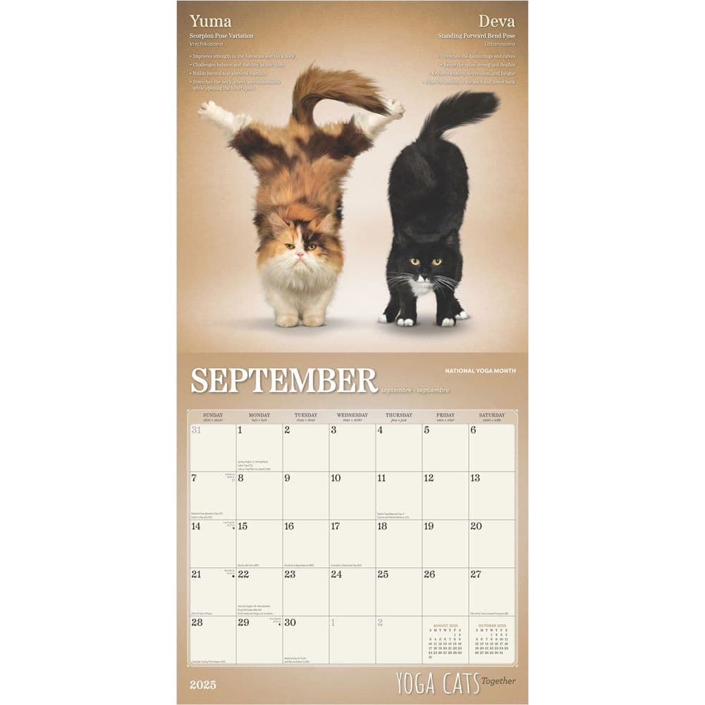 Yoga Cats Together by Plato 2025 Wall Calendar Second Alternate Image width=&quot;1000&quot; height=&quot;1000&quot;