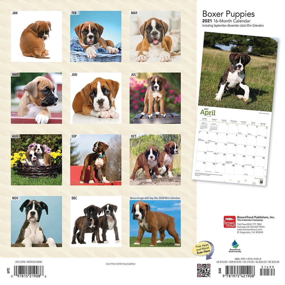 Boxer Puppies Wall Calendar