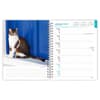 image Cat Lovers 2027 Engagement Planner Second Alternate Image
