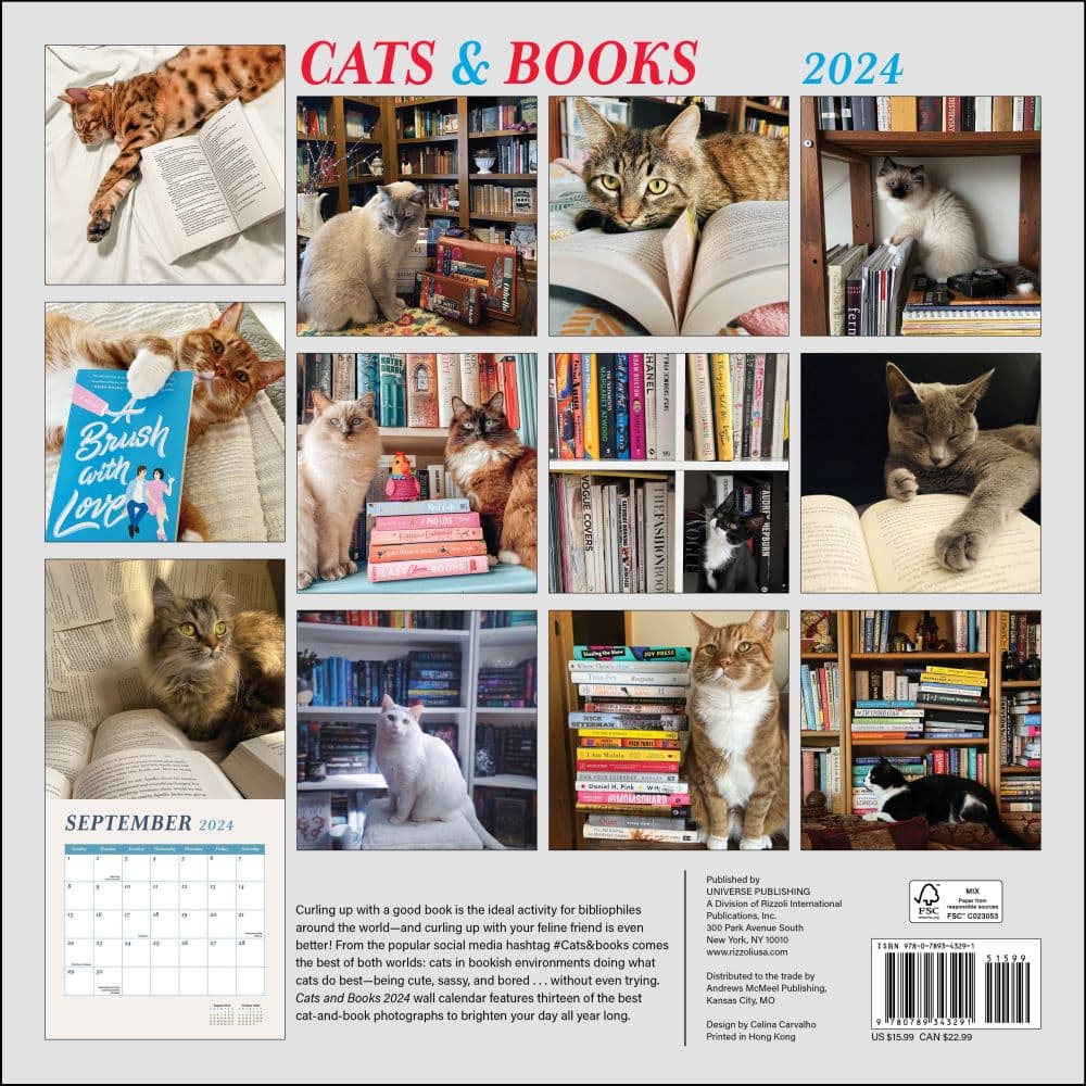 cats-and-books-2024-wall-calendar-alt1