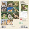 image Golden Retrievers 2025 Mini Wall Calendar First Alternate Image