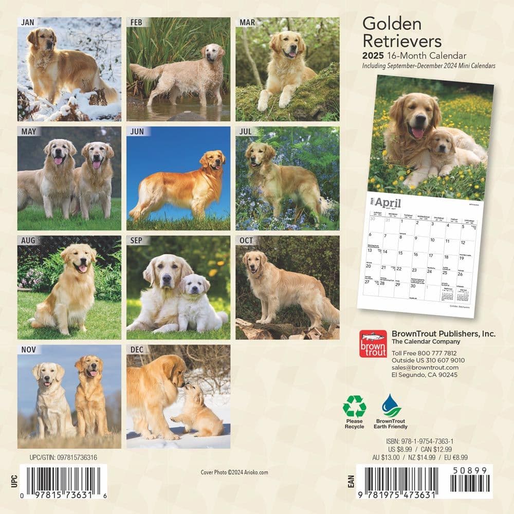 Golden Retrievers 2025 Mini Wall Calendar First Alternate Image