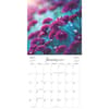 image Flowers Special Value 2025 Mini Wall Calendar Second Alternate