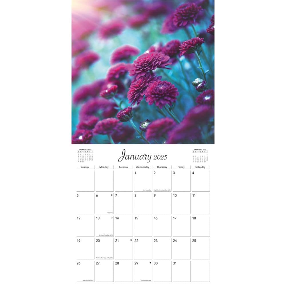 Flowers Special Value 2025 Mini Wall Calendar Second Alternate