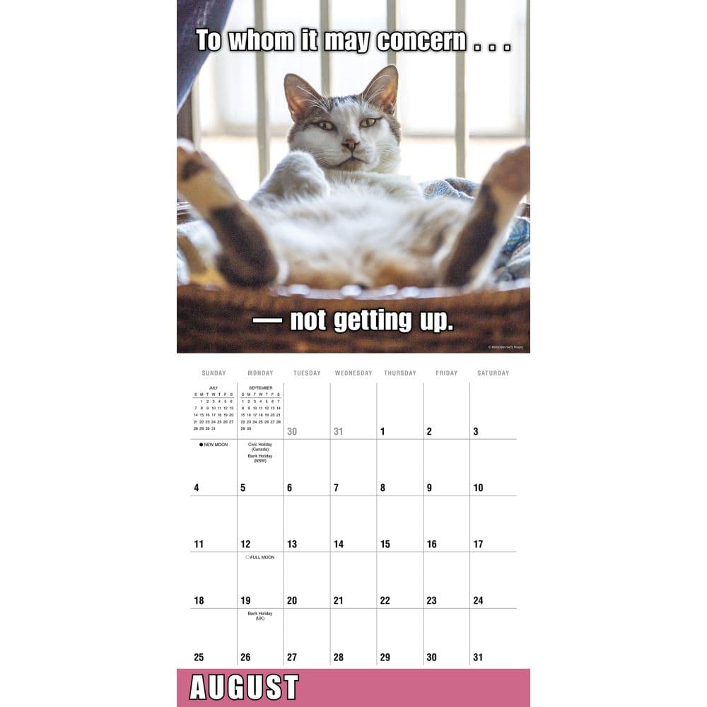 Meow Memes 2024 Wall Calendar