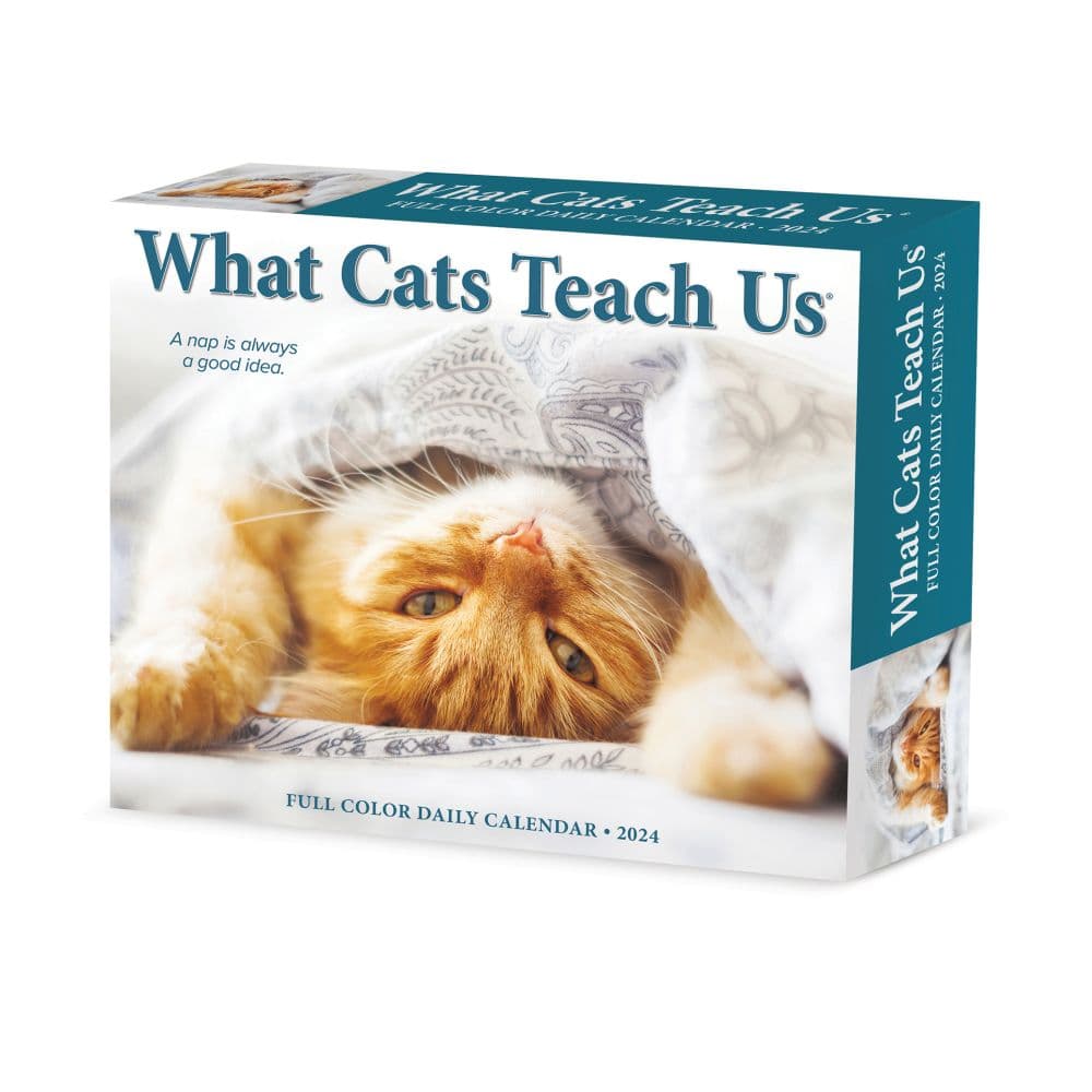 Cats What Cats Teach Us 2024 Desk Calendar Calendars Com   679a4f54 1369 4a38 9fd2 4d0c805914af